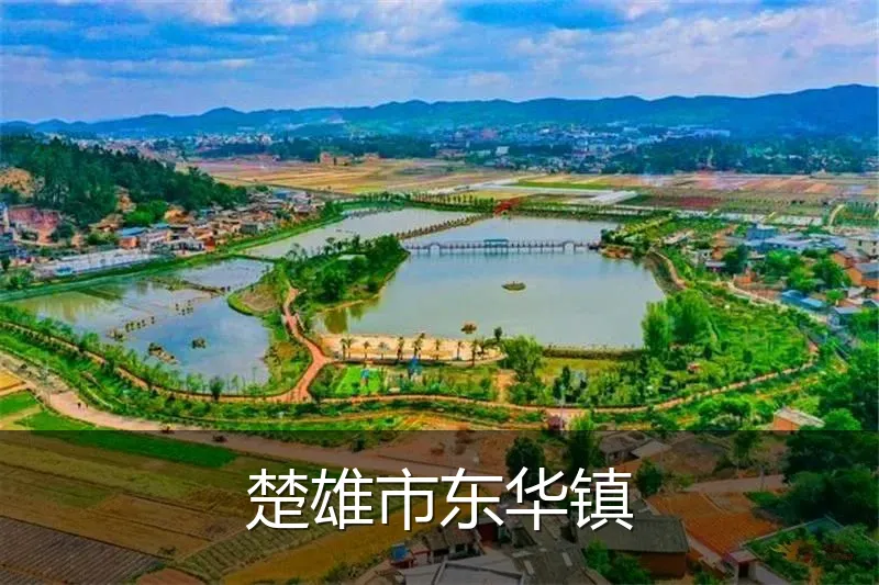 楚雄市东华镇