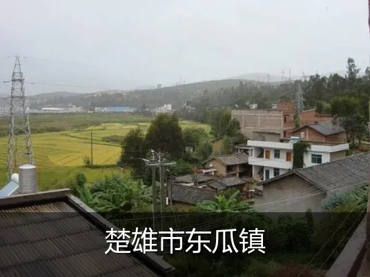 楚雄市东瓜镇