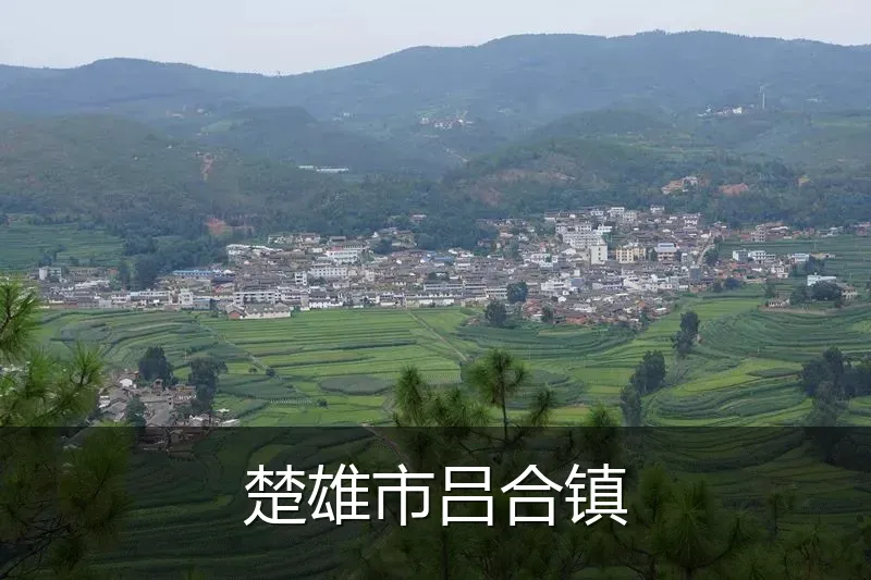 楚雄市吕合镇