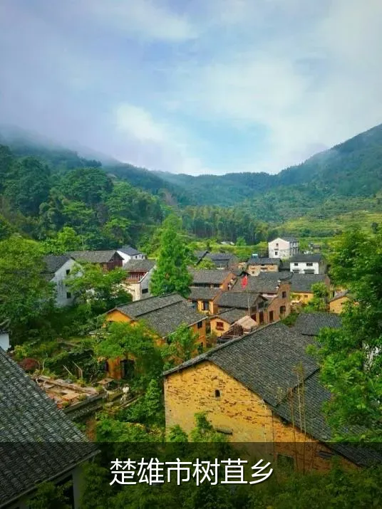 楚雄市树苴乡