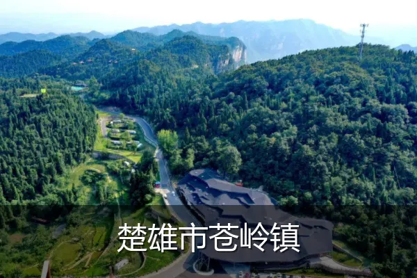 楚雄市苍岭镇
